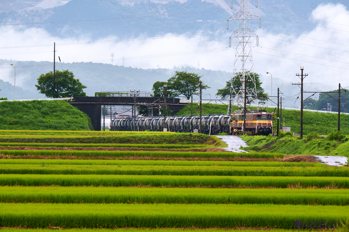 シグマ SIGMA 150-600mm F5-6.3 DG DN OS | Sports @ review vol
